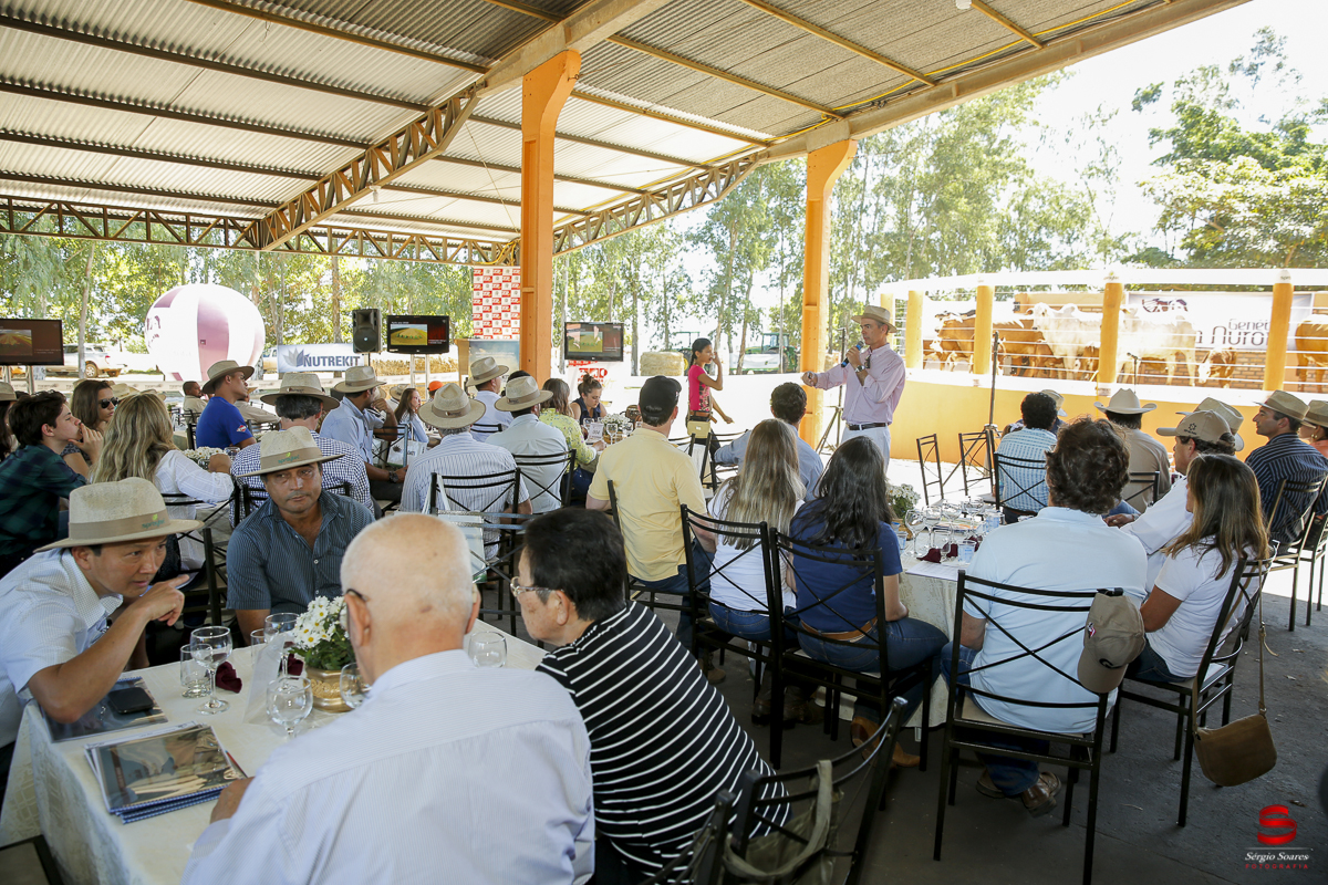 fotografo-fotografia-cuiaba-sergio-soares-eventos-leilao-mato-grosso-brasil-visionarios-gado-la-aurora-genetica
