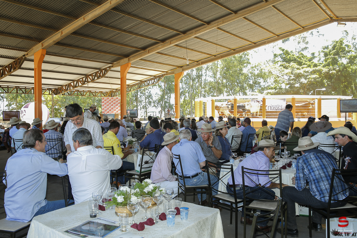 fotografo-fotografia-cuiaba-sergio-soares-eventos-leilao-mato-grosso-brasil-visionarios-gado-la-aurora-genetica