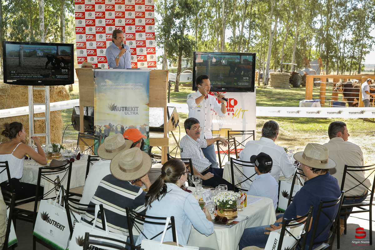 fotografo-fotografia-cuiaba-sergio-soares-eventos-leilao-mato-grosso-brasil-visionarios-gado-la-aurora-genetica