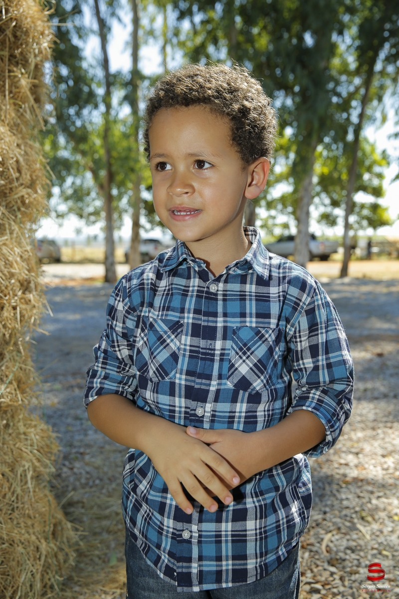 fotografo-fotografia-cuiaba-sergio-soares-eventos-leilao-mato-grosso-brasil-visionarios-gado-la-aurora-genetica