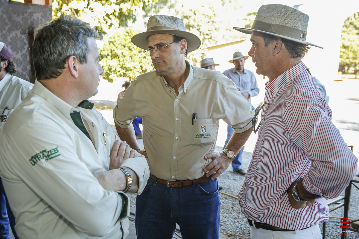 fotografo-fotografia-cuiaba-sergio-soares-eventos-leilao-mato-grosso-brasil-visionarios-gado-la-aurora-genetica