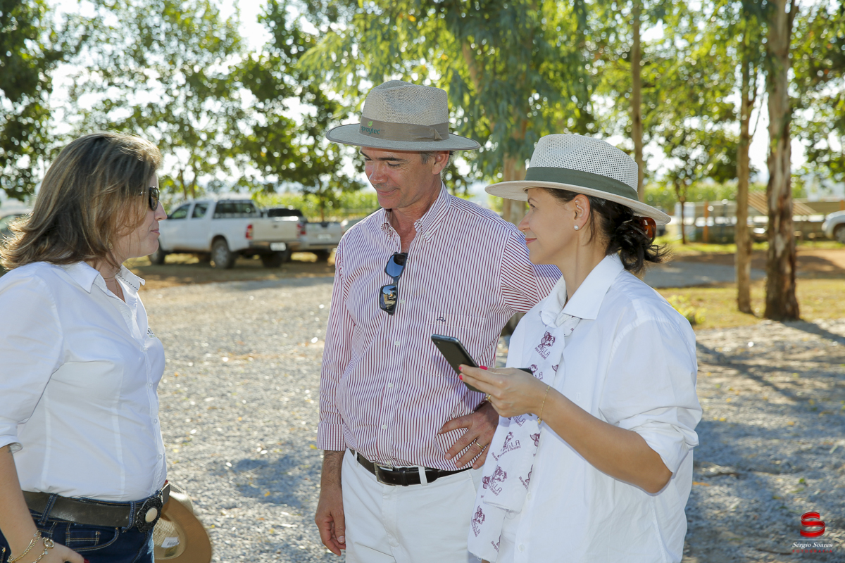 fotografo-fotografia-cuiaba-sergio-soares-eventos-leilao-mato-grosso-brasil-visionarios-gado-la-aurora-genetica