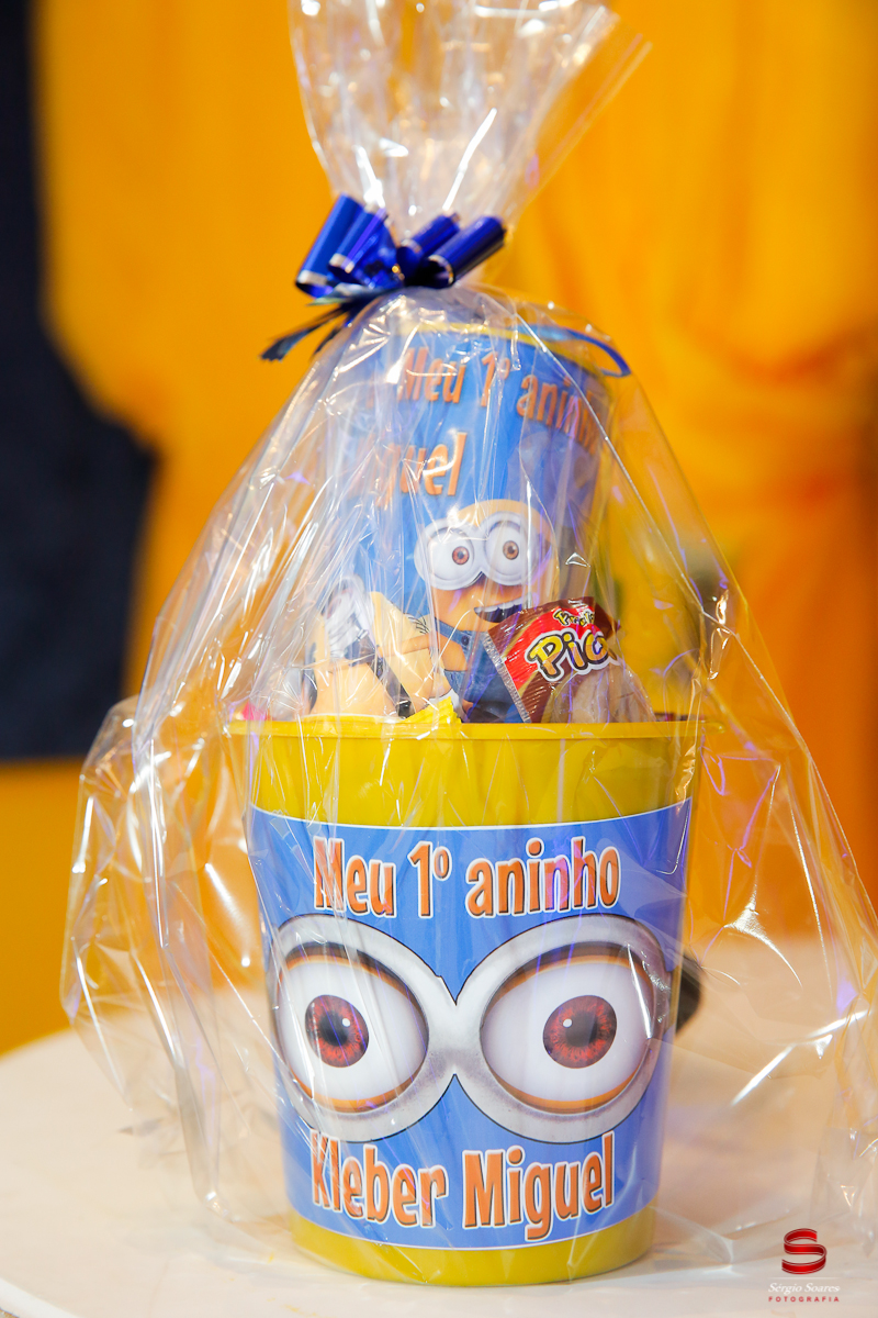 fotografo-cuiaba-fotografia-aniversario-infantil-kleber-miguel-minion-festa-diverç
