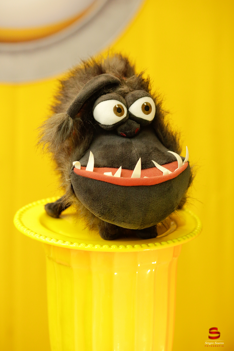 fotografo-cuiaba-fotografia-aniversario-infantil-kleber-miguel-minion-festa-diverç