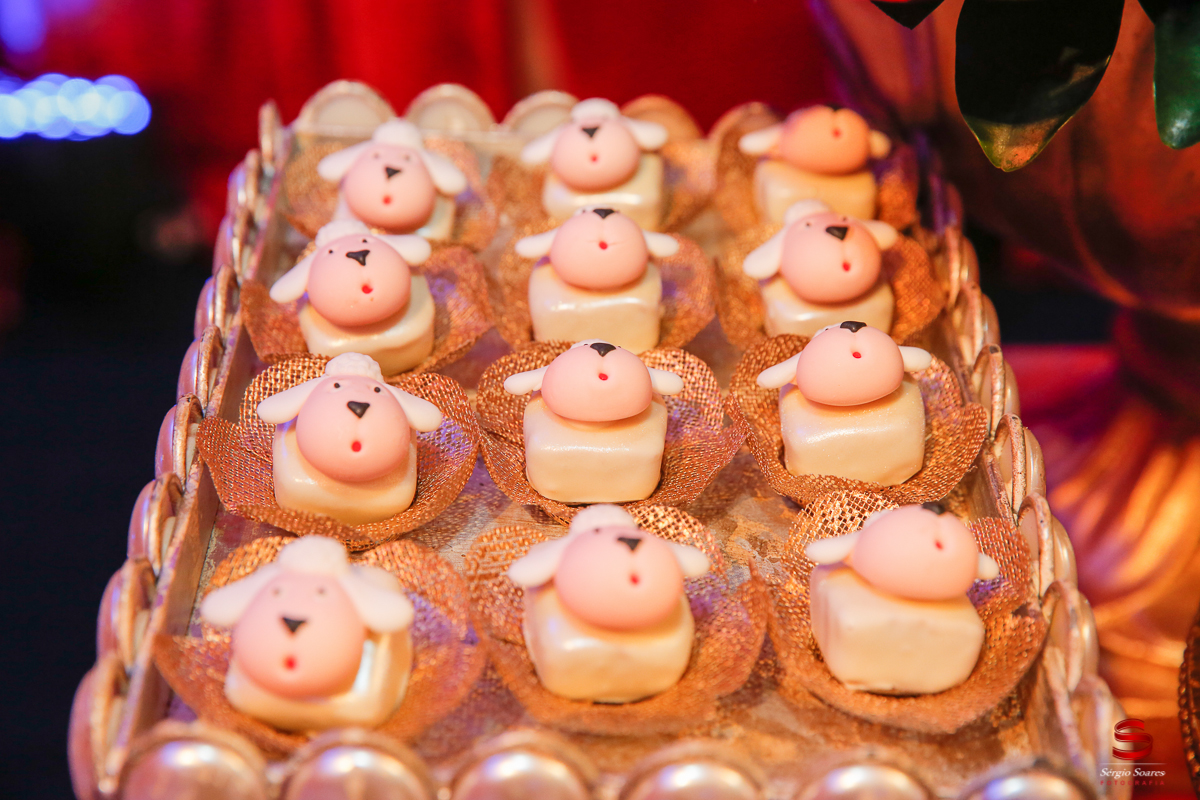 fotografia-fotografo-aniversario-evento-joao-pietro-pequeno-princepe-party