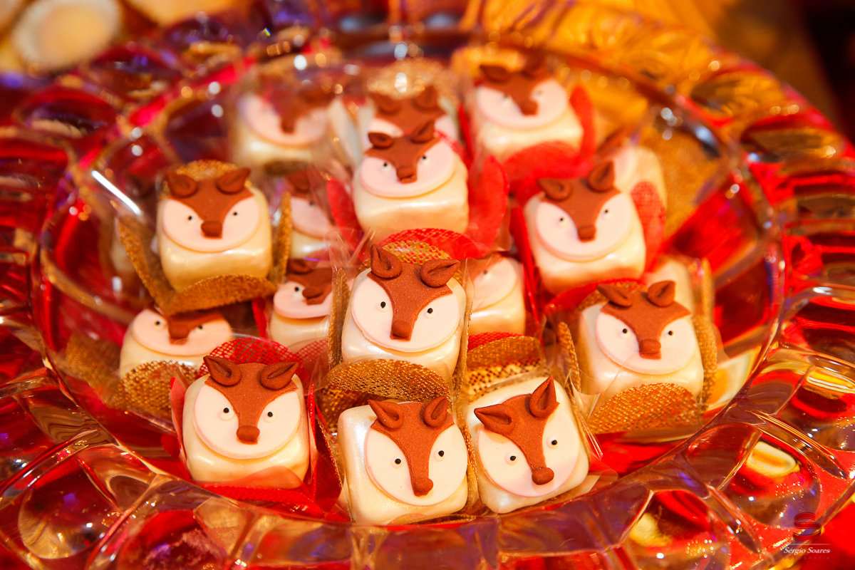 fotografia-fotografo-aniversario-evento-joao-pietro-pequeno-princepe-party