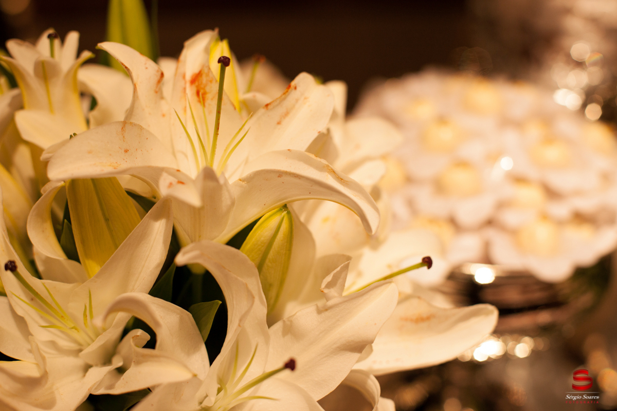 fotografo-cuiaba-fotografia-sergio-soares-casamento