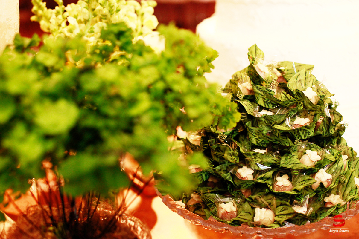 fotogrago-cuiaba-fotografia-sergiosoares-casamento-regis-isabela