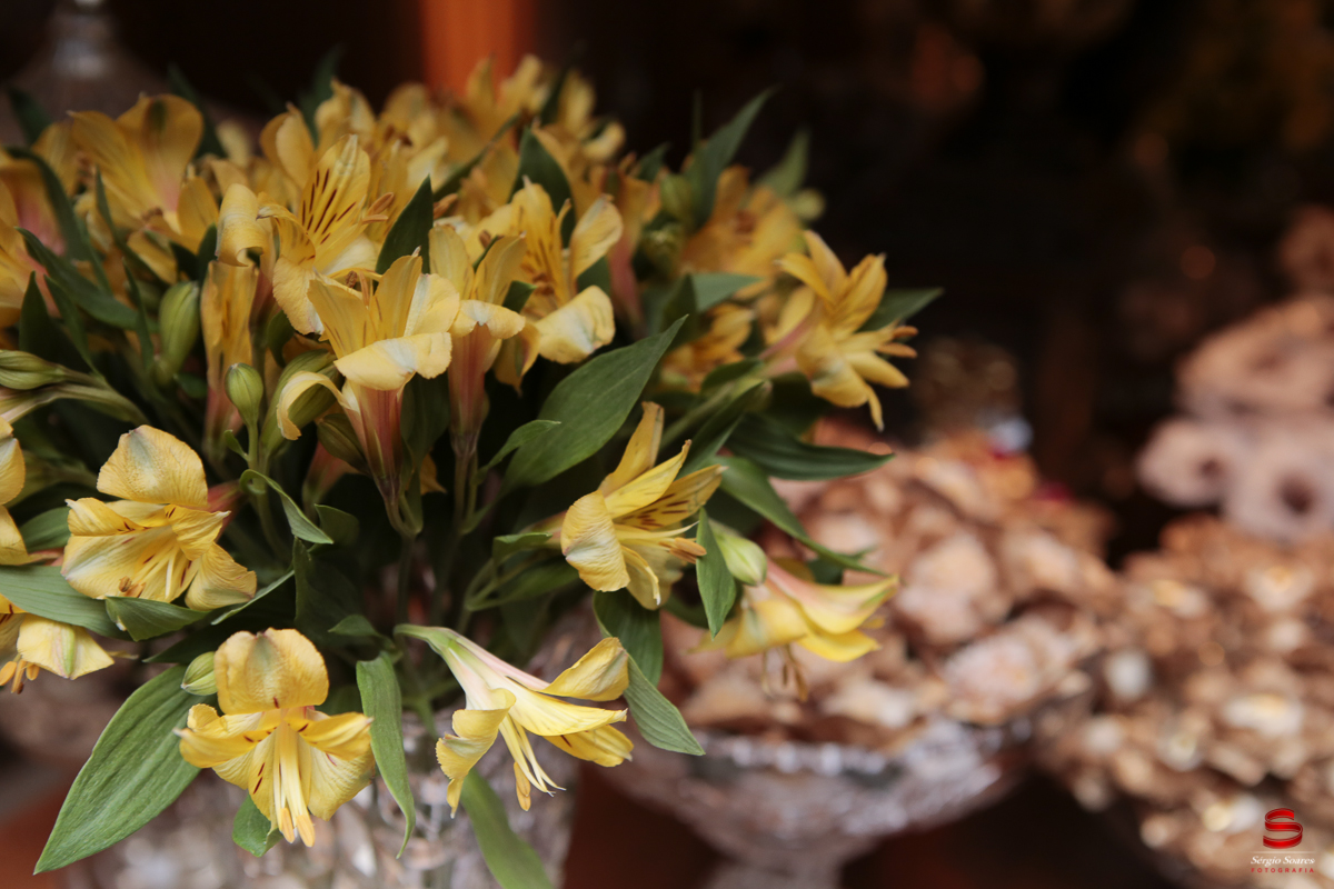 fotografo-fotografia-cuiaba-mato-grosso-brasil-sergio-soares-casament0-michelle-helder