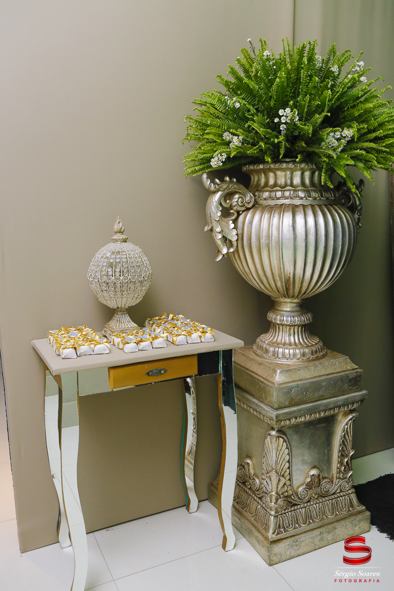 fotografo-cuiaba-fotografia-sergio-soares-aniversario-remy-80-anos