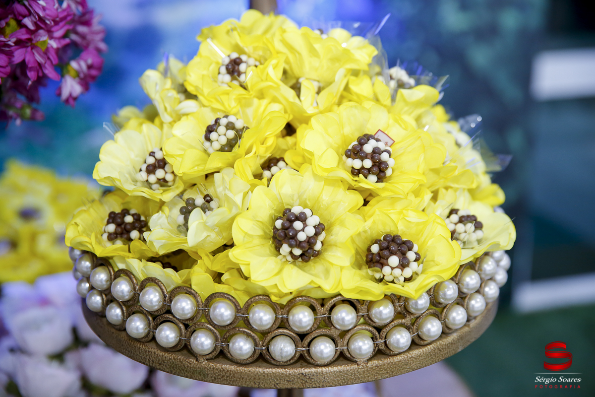 fotografia-cuiaba-fotografo-mato-grosso-sergio-soares-aniver-Maya