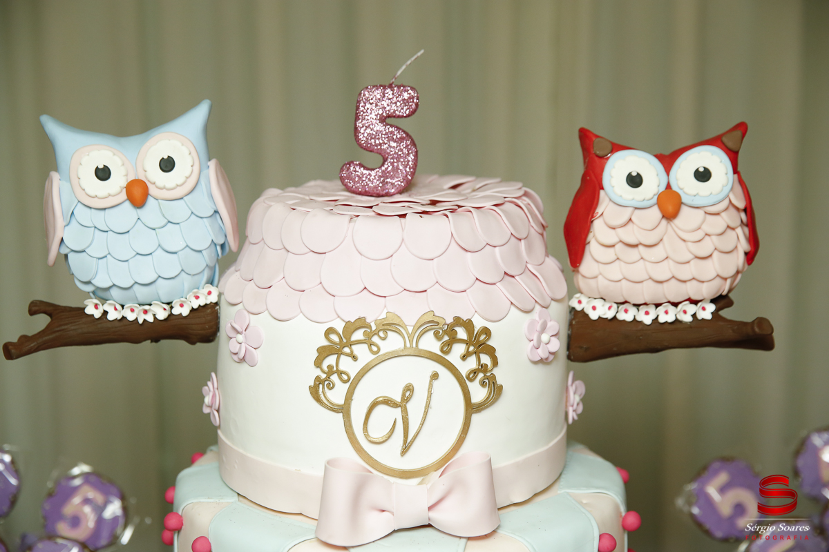 fotografia-fotografo-sergio-soares-cuiaba-mato=grosso-fotos-de-casamento-aniversarios-books-niver-veronica