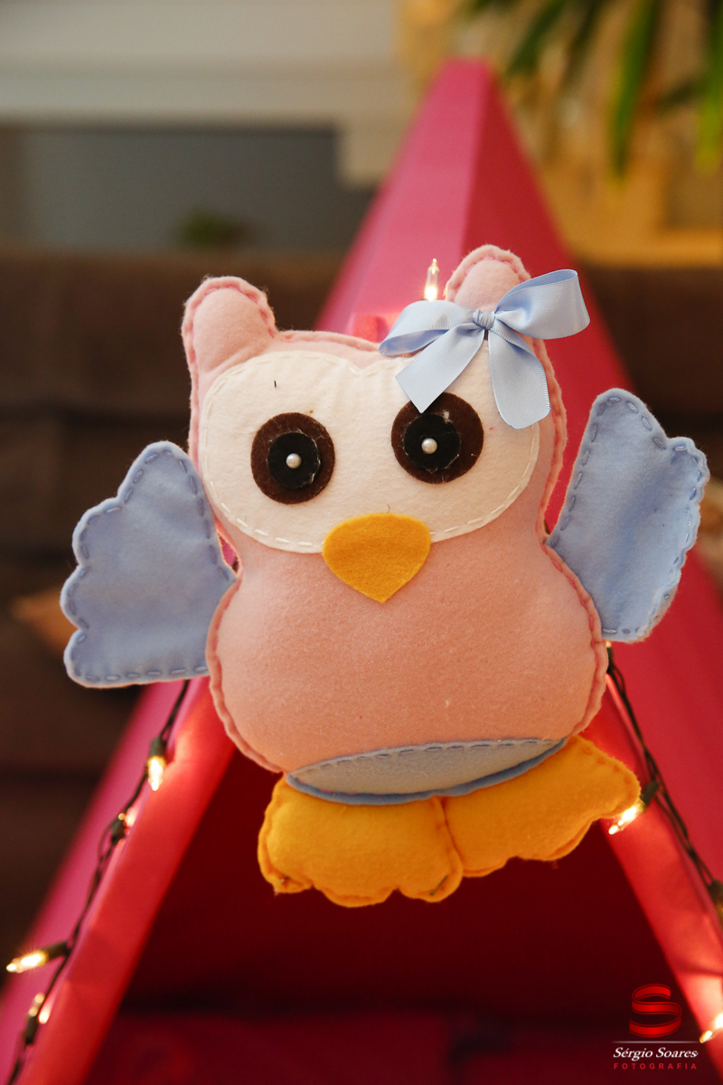 fotografia-fotografo-sergio-soares-cuiaba-mato=grosso-fotos-de-casamento-aniversarios-books-niver-veronica