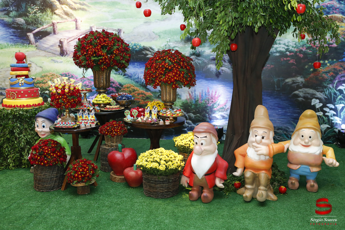 fotografia-fotografo-cuiaba-mato-grosso-brasil-sergio-soares-fotos-de-casamento-fotos-de-aniversario-niver-1-ano-luiza