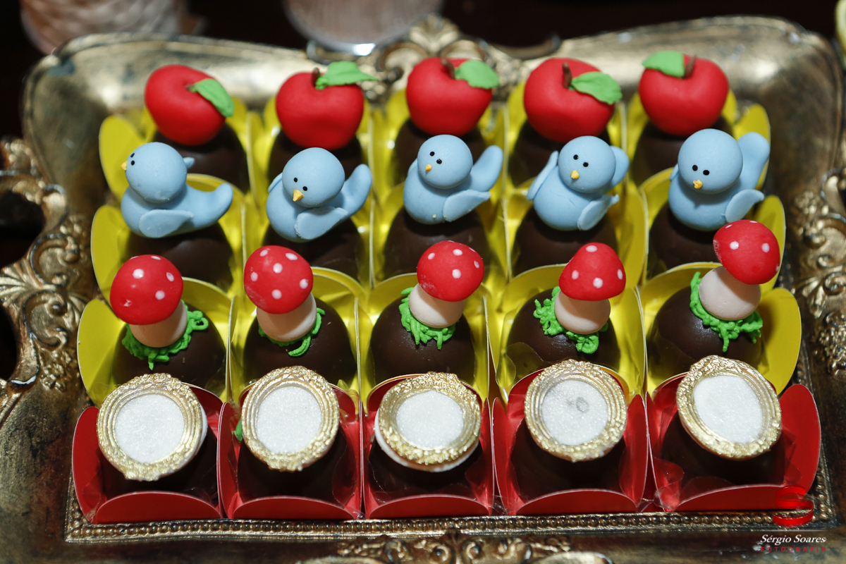 fotografia-fotografo-cuiaba-mato-grosso-brasil-sergio-soares-fotos-de-casamento-fotos-de-aniversario-niver-1-ano-luiza