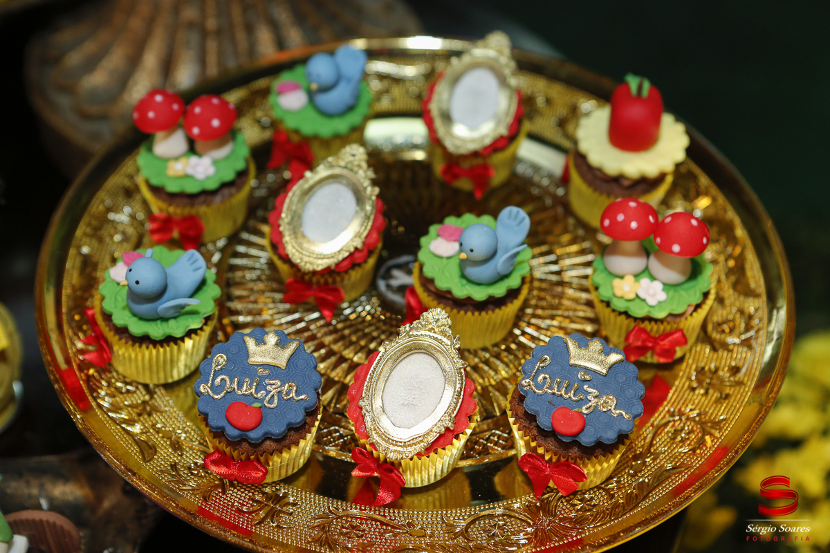 fotografia-fotografo-cuiaba-mato-grosso-brasil-sergio-soares-fotos-de-casamento-fotos-de-aniversario-niver-1-ano-luiza