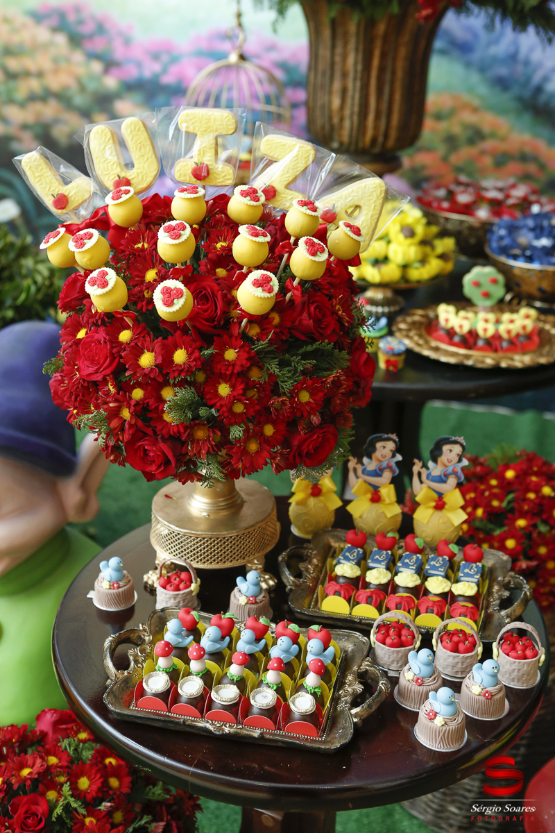 fotografia-fotografo-cuiaba-mato-grosso-brasil-sergio-soares-fotos-de-casamento-fotos-de-aniversario-niver-1-ano-luiza