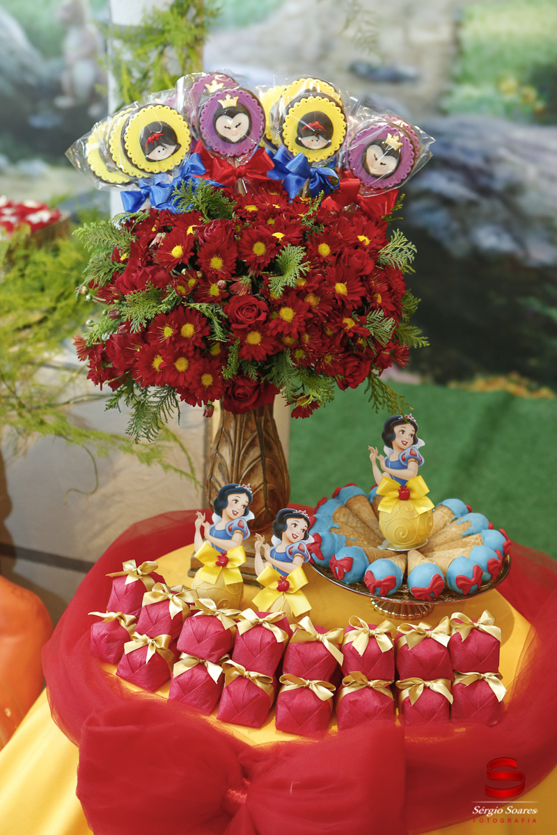 fotografia-fotografo-cuiaba-mato-grosso-brasil-sergio-soares-fotos-de-casamento-fotos-de-aniversario-niver-1-ano-luiza