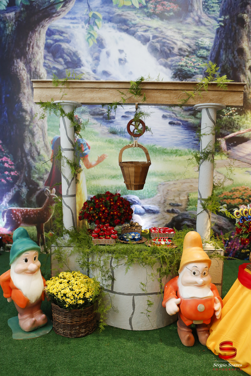 fotografia-fotografo-cuiaba-mato-grosso-brasil-sergio-soares-fotos-de-casamento-fotos-de-aniversario-niver-1-ano-luiza