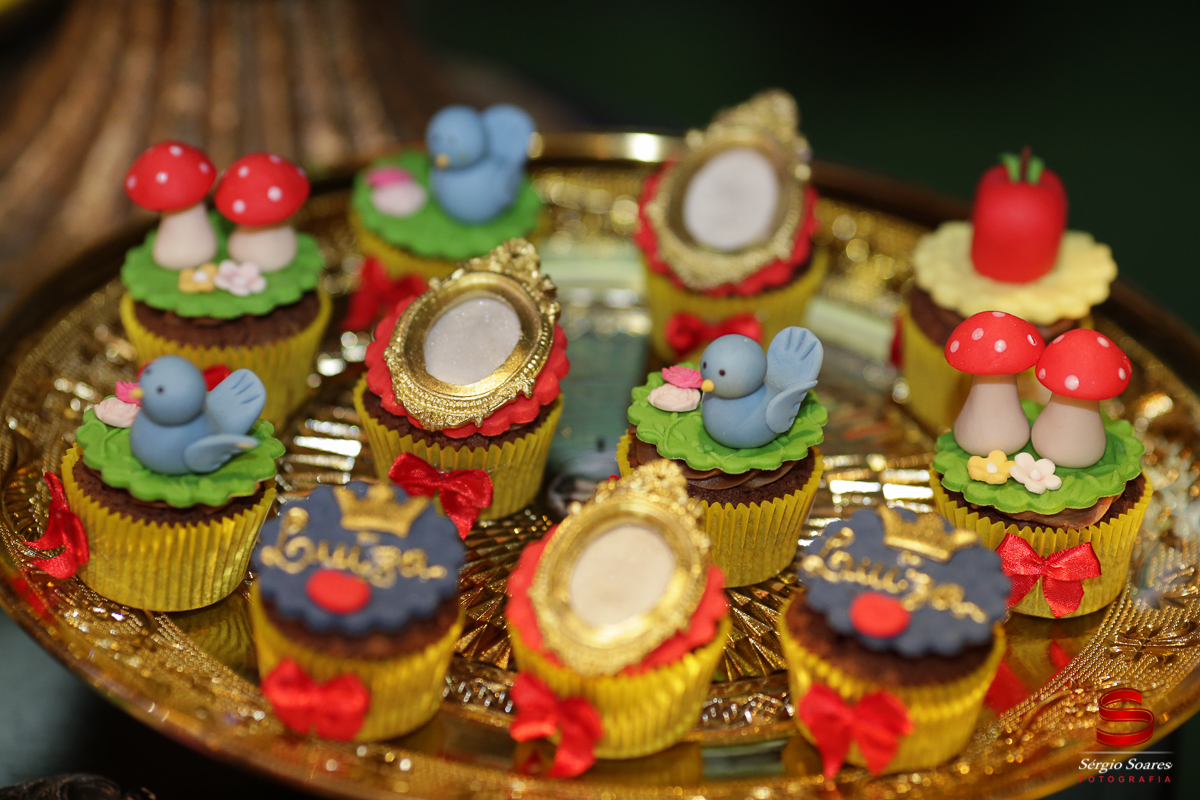 fotografia-fotografo-cuiaba-mato-grosso-brasil-sergio-soares-fotos-de-casamento-fotos-de-aniversario-niver-1-ano-luiza