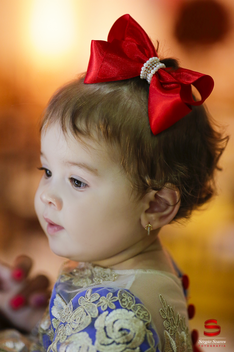 fotografia-fotografo-cuiaba-mato-grosso-brasil-sergio-soares-fotos-de-casamento-fotos-de-aniversario-niver-1-ano-luiza