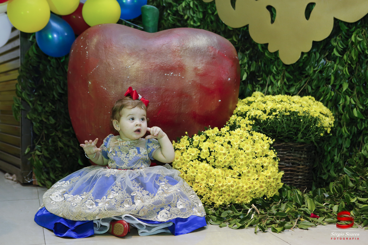 fotografia-fotografo-cuiaba-mato-grosso-brasil-sergio-soares-fotos-de-casamento-fotos-de-aniversario-niver-1-ano-luiza