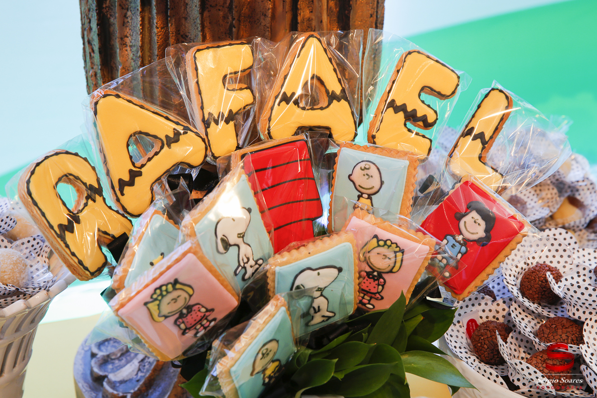 fotografia-fotografo-cuiaba-mato-grosso-brasil-fotos-de-casamento-aniversario-pedro-e-rafael