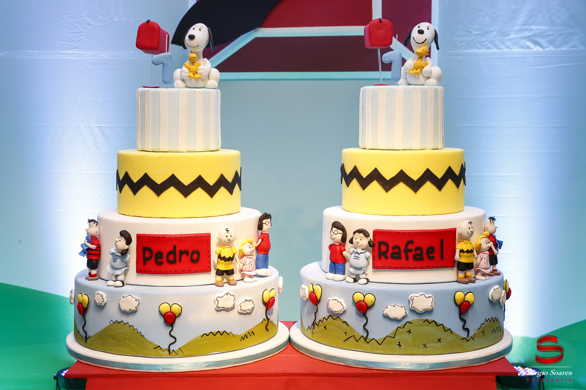 fotografia-fotografo-cuiaba-mato-grosso-brasil-fotos-de-casamento-aniversario-pedro-e-rafael