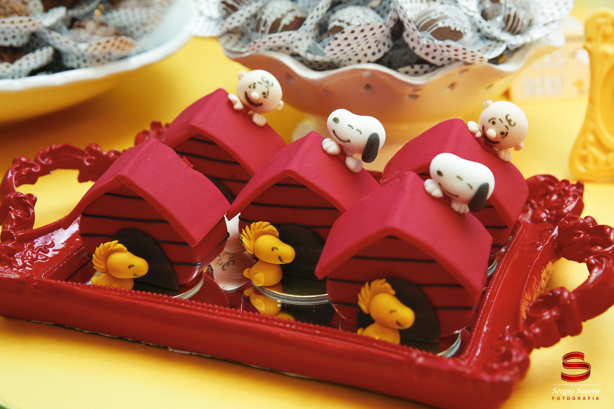 fotografia-fotografo-cuiaba-mato-grosso-brasil-fotos-de-casamento-aniversario-pedro-e-rafael