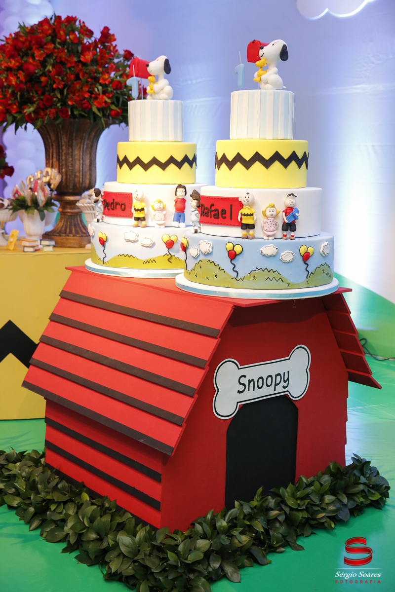 fotografia-fotografo-cuiaba-mato-grosso-brasil-fotos-de-casamento-aniversario-pedro-e-rafael