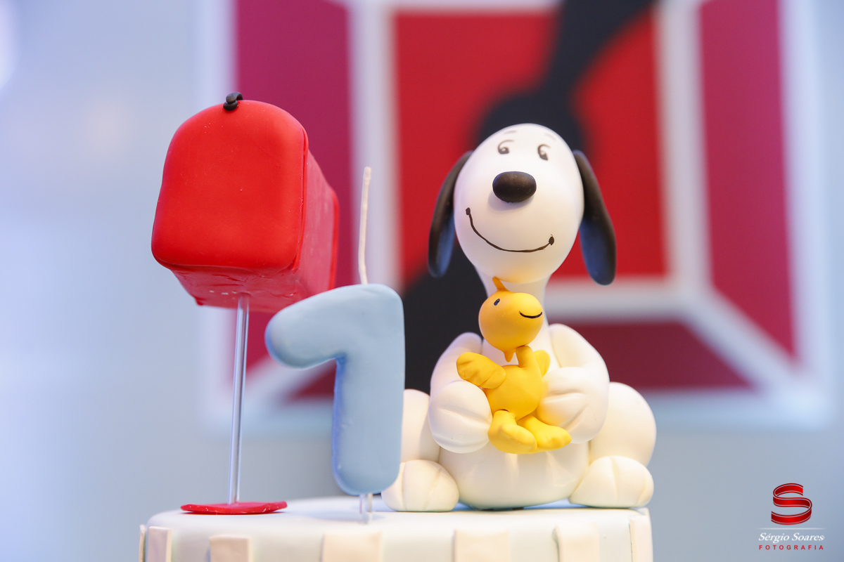 fotografia-fotografo-cuiaba-mato-grosso-brasil-fotos-de-casamento-aniversario-pedro-e-rafael