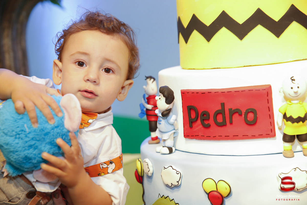 fotografia-fotografo-cuiaba-mato-grosso-brasil-fotos-de-casamento-aniversario-pedro-e-rafael