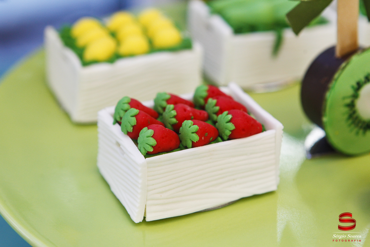 fotografia-fotografo-sergio-soares-aniversario-1-ano-joao-lucas