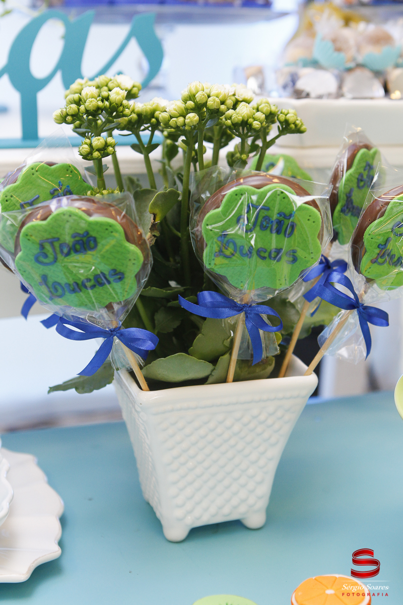 fotografia-fotografo-sergio-soares-aniversario-1-ano-joao-lucas