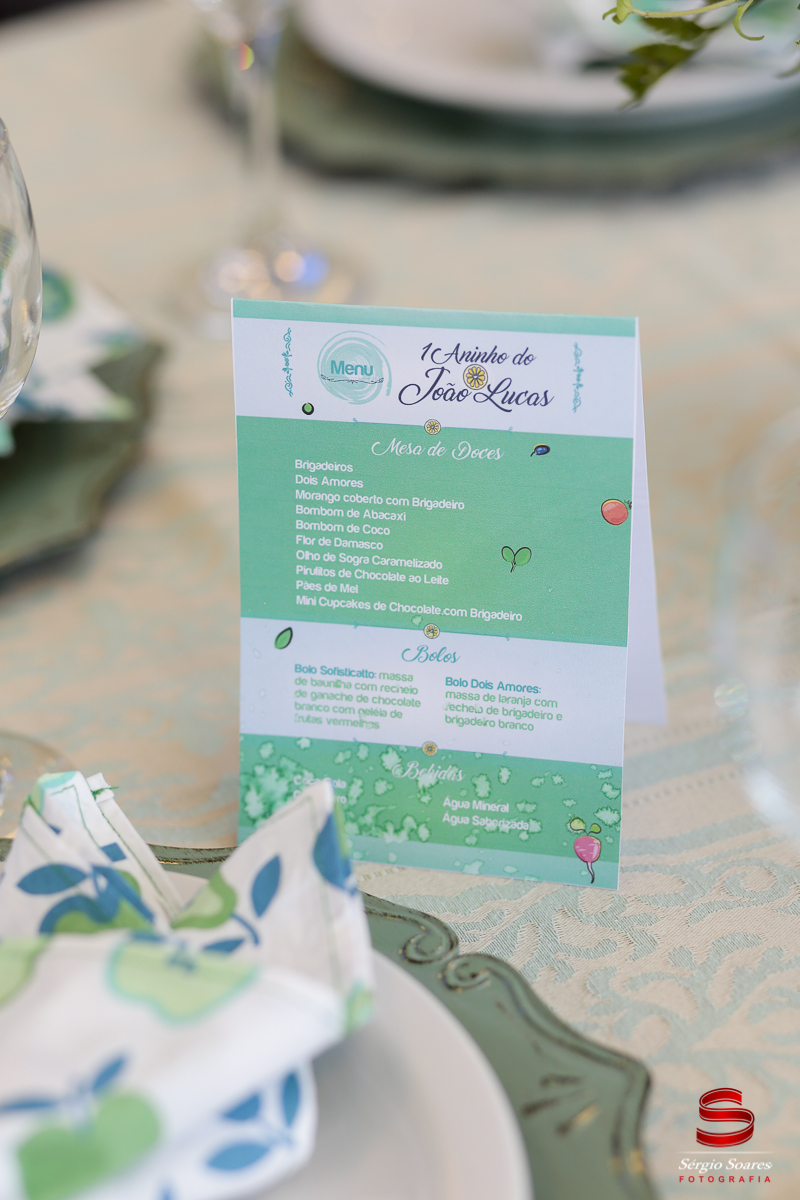 fotografia-fotografo-sergio-soares-aniversario-1-ano-joao-lucas