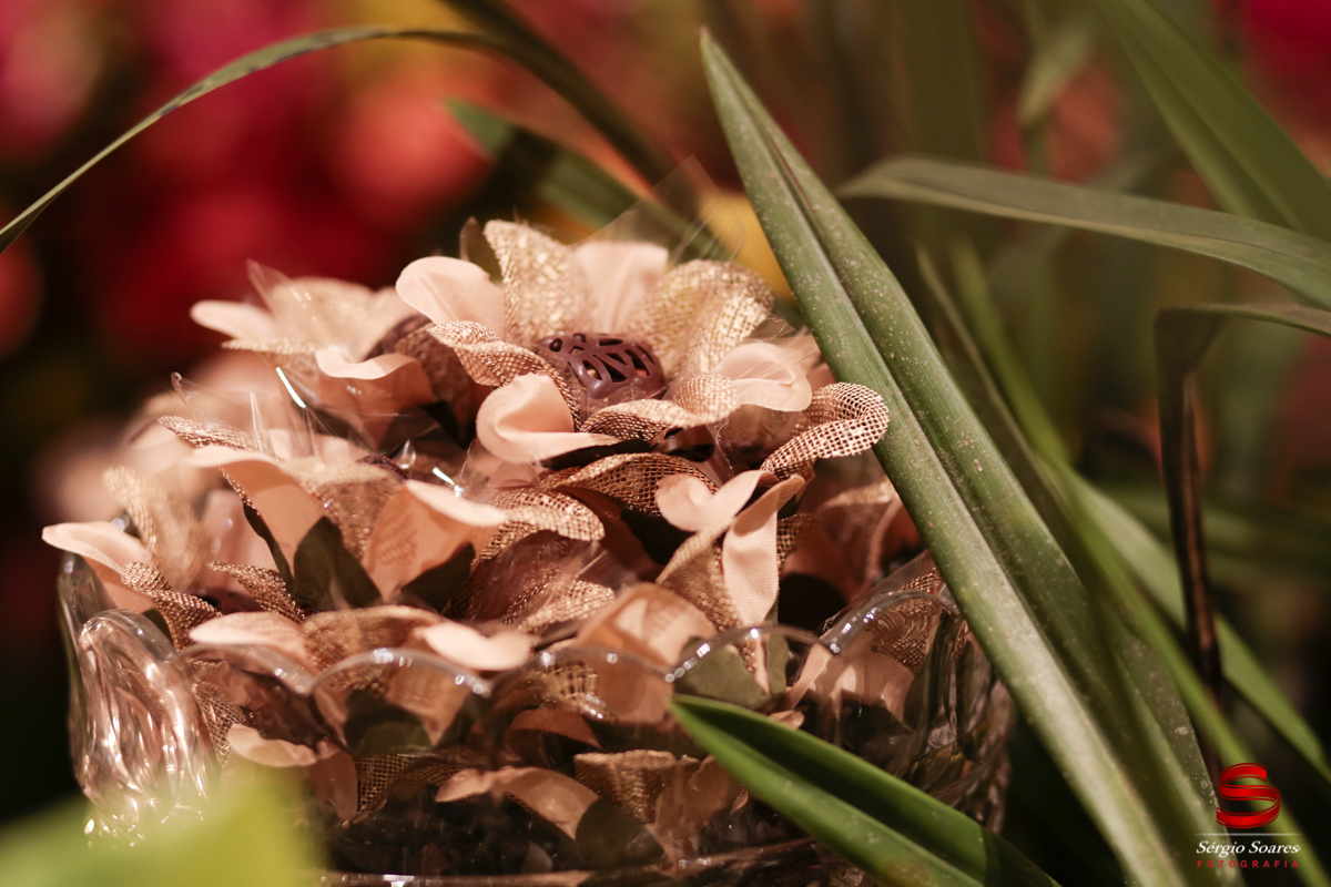 fotografia-fotografo-sergio-soares-cuiaba-mato-grosso-brasil-bodas-de-ouro-maria-de-lurdes-bonjour
