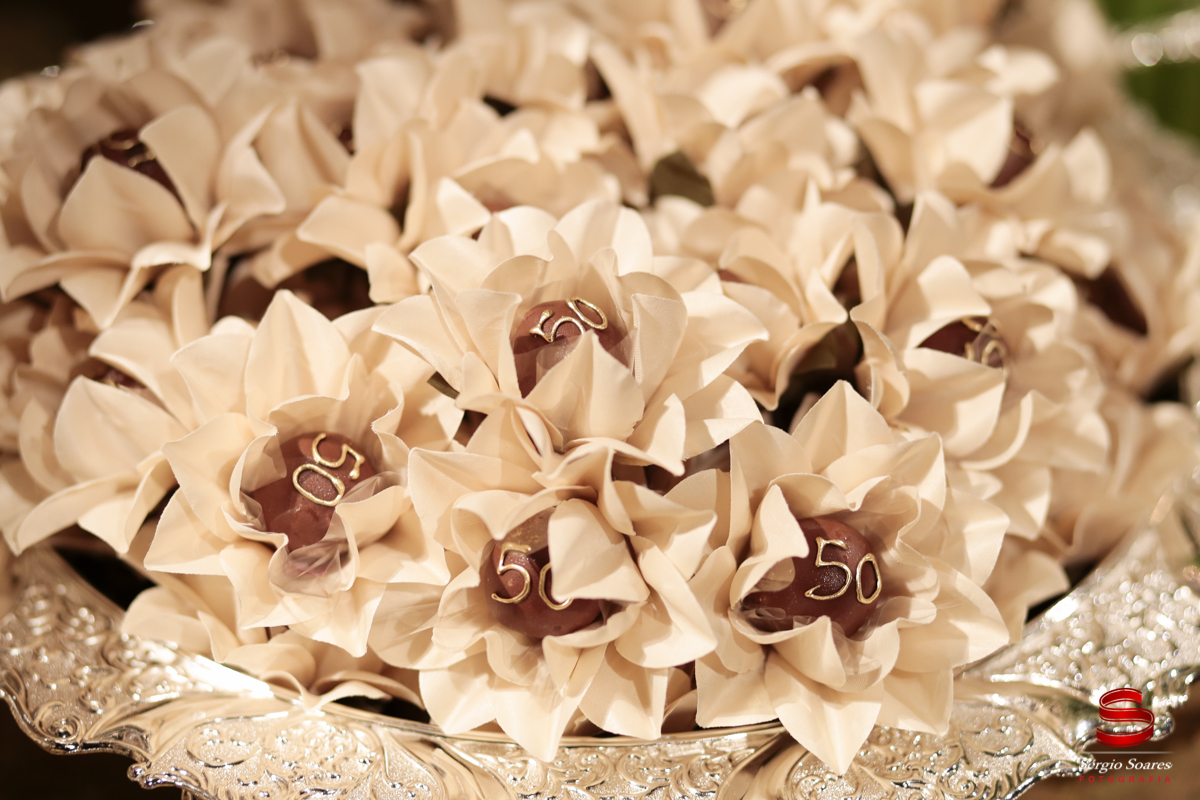 fotografia-fotografo-sergio-soares-cuiaba-mato-grosso-brasil-bodas-de-ouro-maria-de-lurdes-bonjour