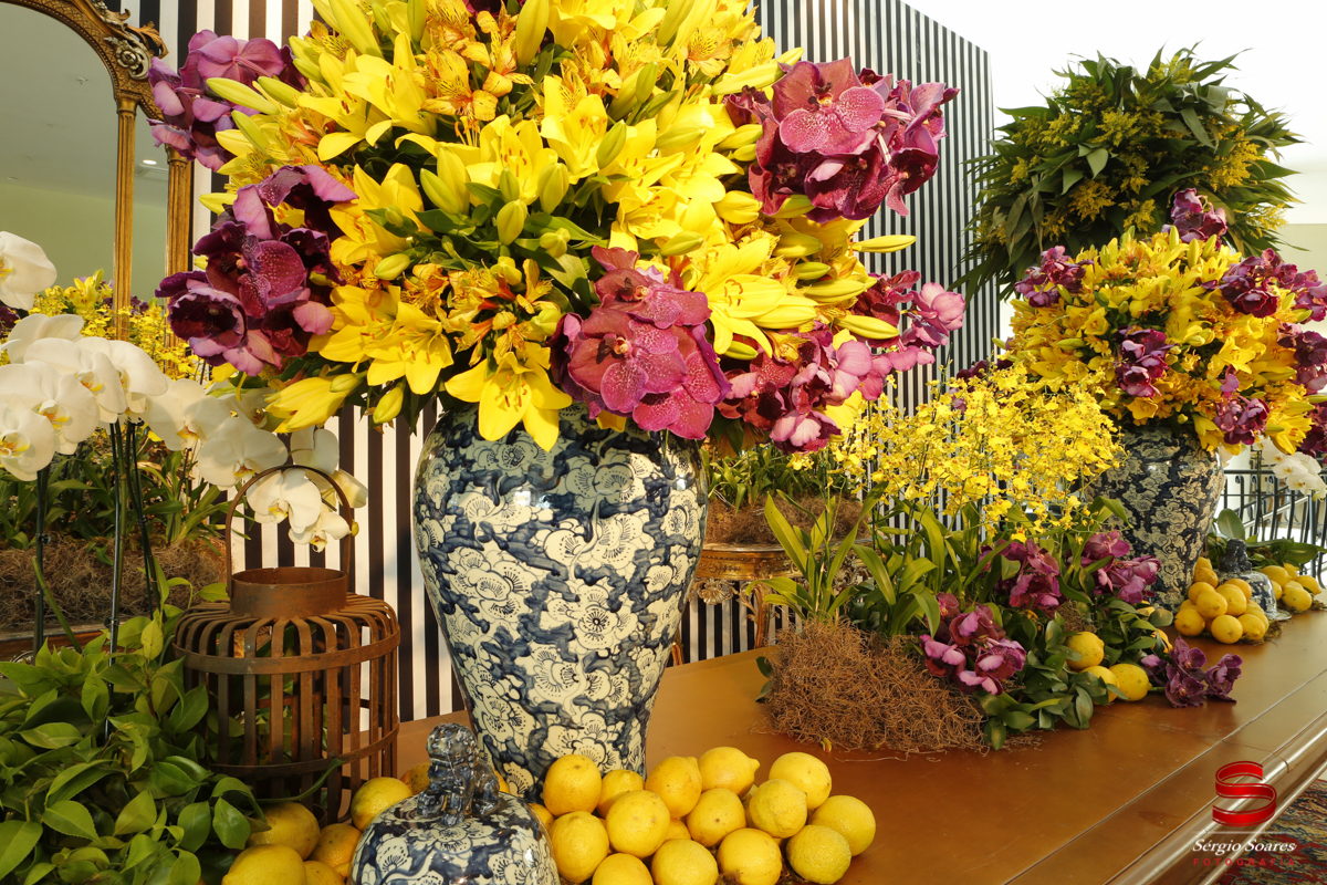 fotografia-fotografo-sergio-soares-cuiaba-aniversario-fotos-de-casamento-niver-50-anos-fernando-scheffer-cesar-menotti-fabiano