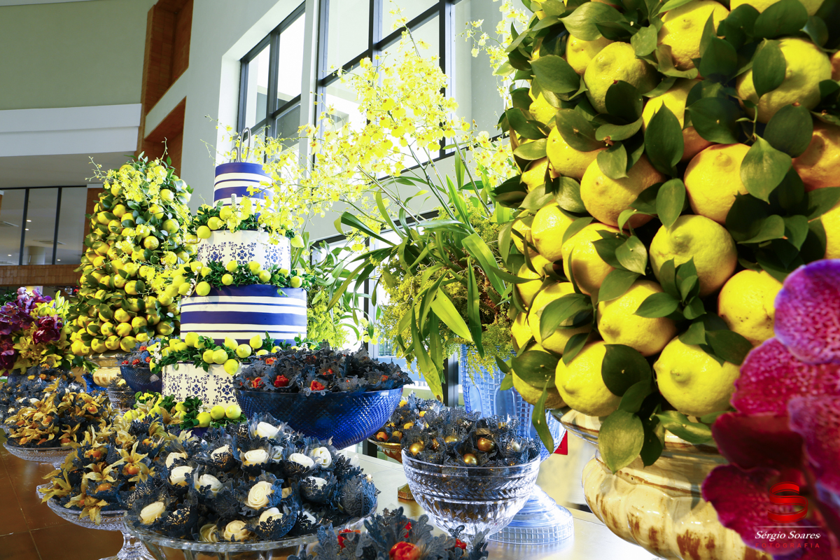 fotografia-fotografo-sergio-soares-cuiaba-aniversario-fotos-de-casamento-niver-50-anos-fernando-scheffer-cesar-menotti-fabiano