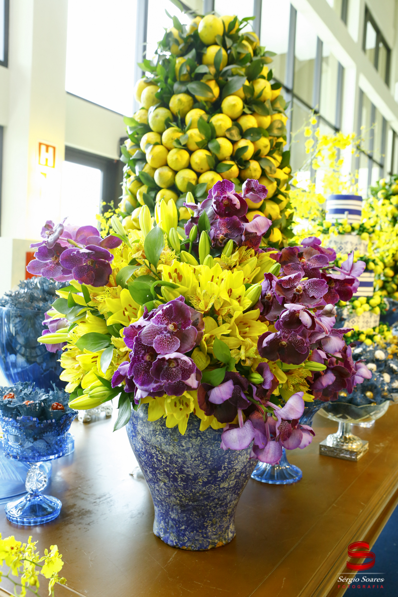 fotografia-fotografo-sergio-soares-cuiaba-aniversario-fotos-de-casamento-niver-50-anos-fernando-scheffer-cesar-menotti-fabiano