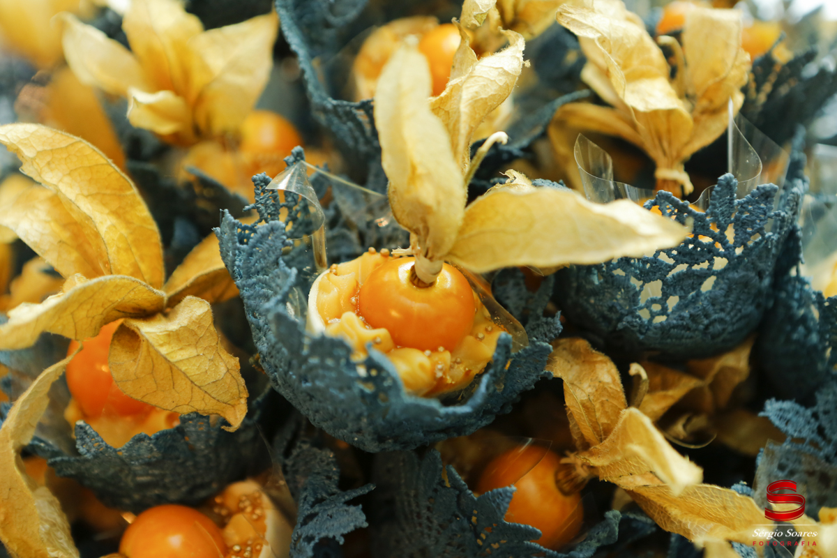 fotografia-fotografo-sergio-soares-cuiaba-aniversario-fotos-de-casamento-niver-50-anos-fernando-scheffer-cesar-menotti-fabiano