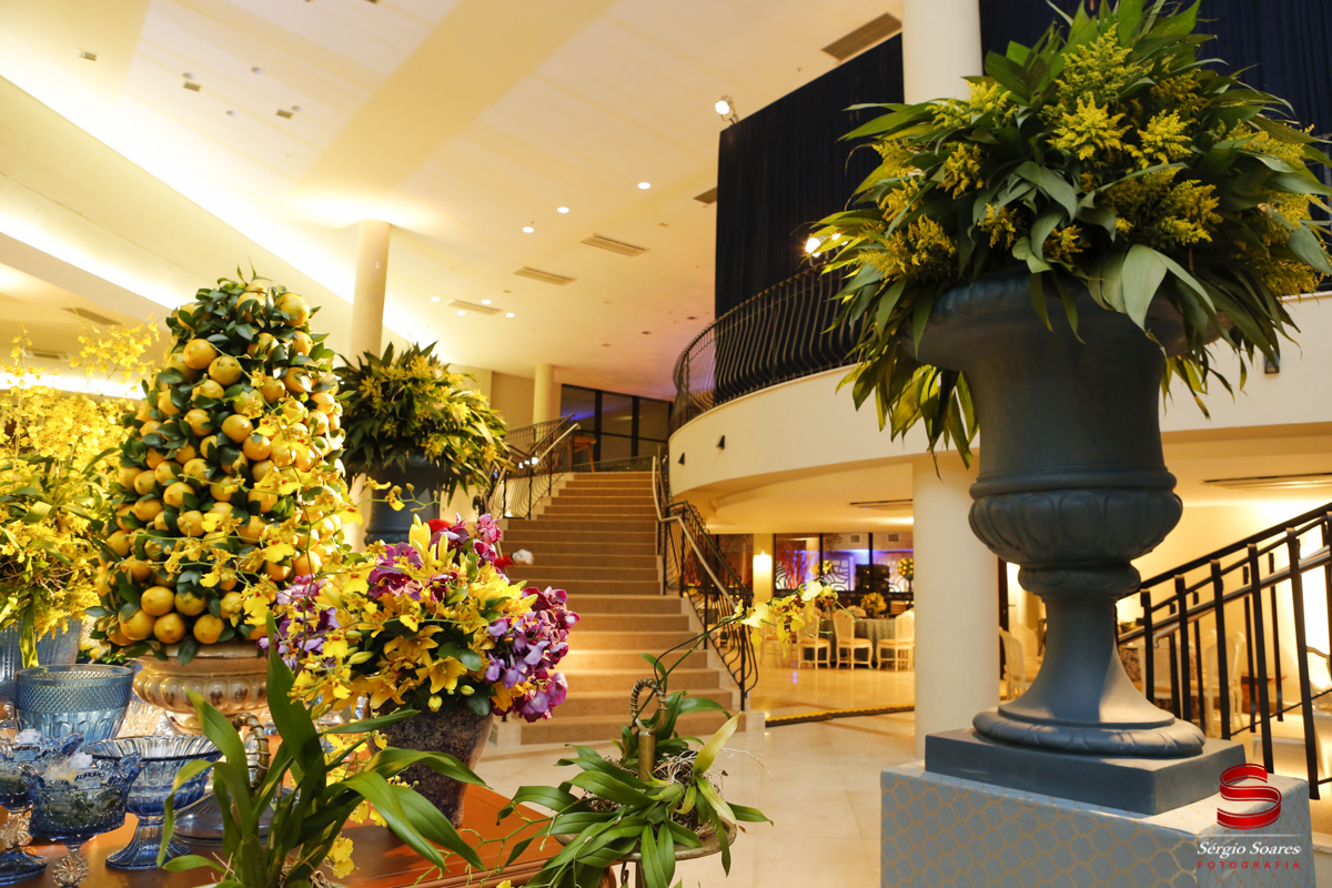 fotografia-fotografo-sergio-soares-cuiaba-aniversario-fotos-de-casamento-niver-50-anos-fernando-scheffer-cesar-menotti-fabiano