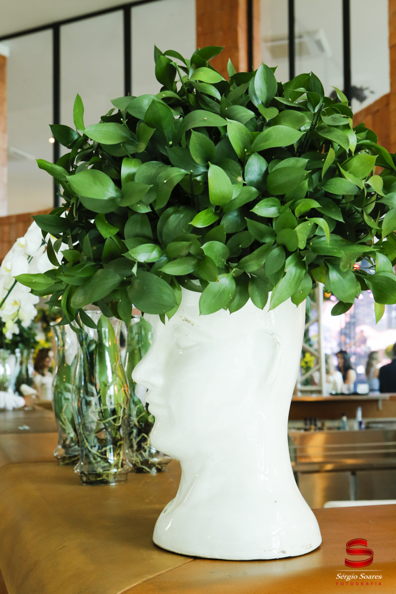 fotografia-fotografo-sergio-soares-cuiaba-aniversario-fotos-de-casamento-niver-50-anos-fernando-scheffer-cesar-menotti-fabiano