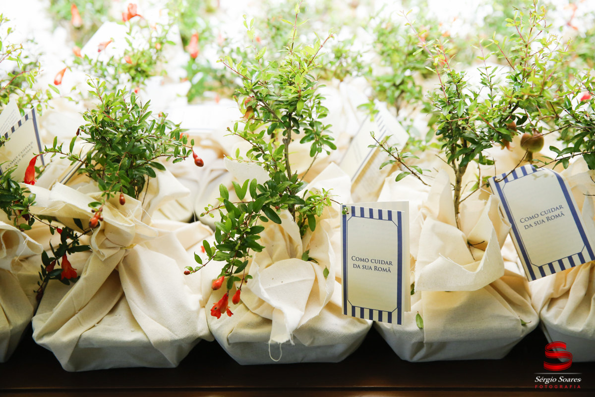 fotografia-fotografo-sergio-soares-cuiaba-aniversario-fotos-de-casamento-niver-50-anos-fernando-scheffer-cesar-menotti-fabiano