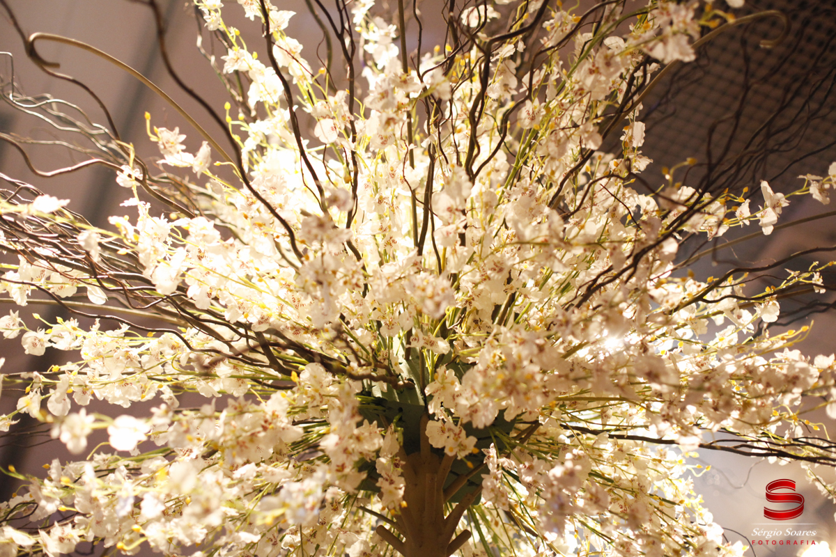 fotografia-fotografo-sergio-soares-cuiaba-mato-grosso-fotos-de-casamento-noivas-niver-casamento-erica-igor