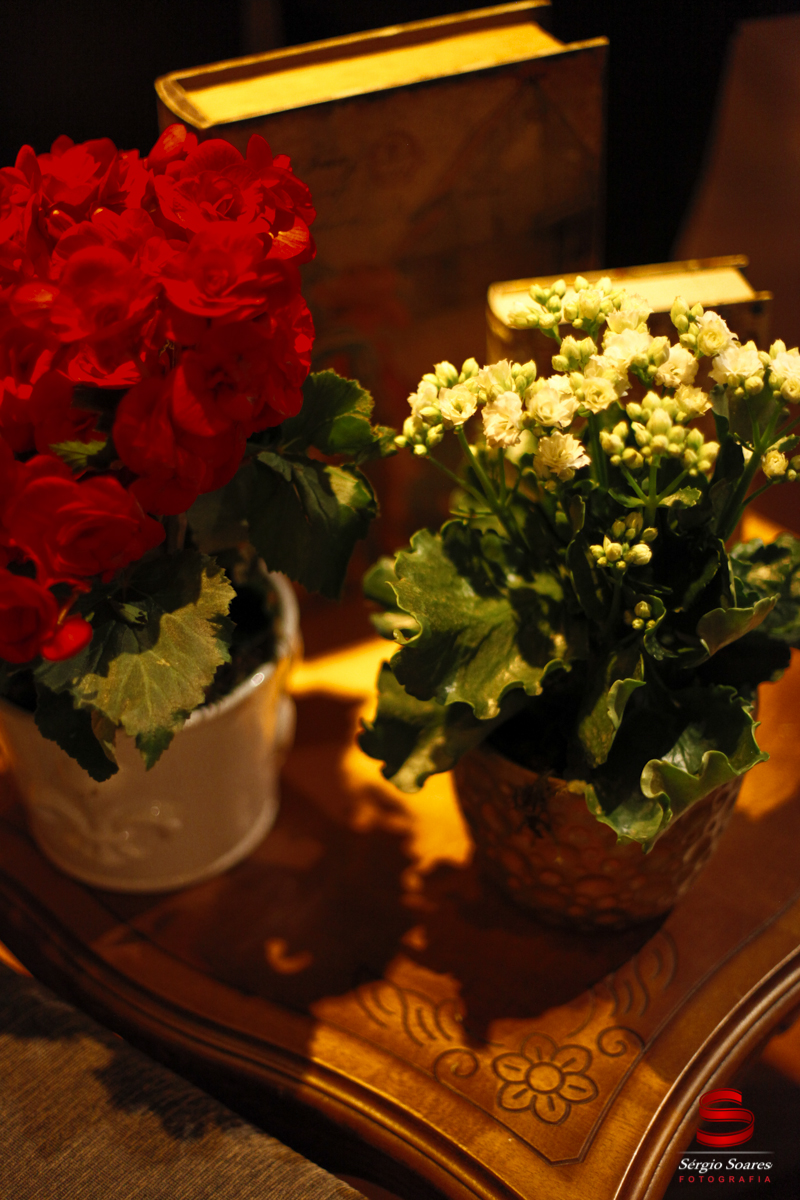 fotografia-fotografo-sergio-soares-cuiaba-mato-grosso-fotos-de-casamento-noivas-niver-casamento-erica-igor