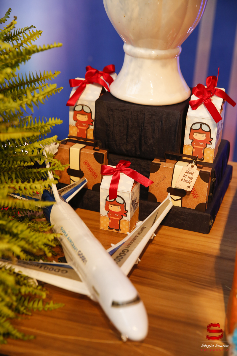 fotografia-fotografo-sergio-soares-niver-joao-vitor