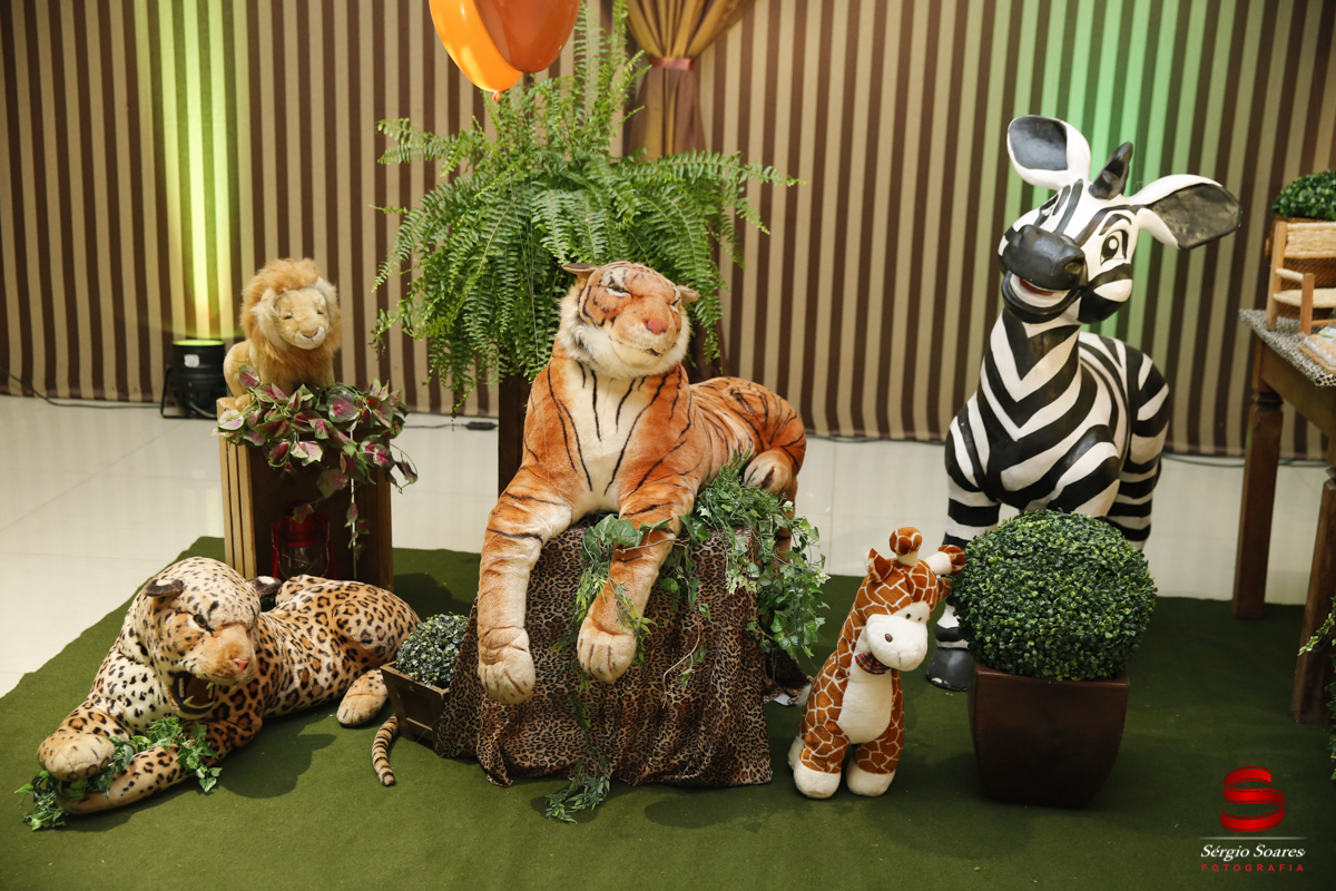 fotografia-fotografo-sergio-soares-aniversario-niver-tomas