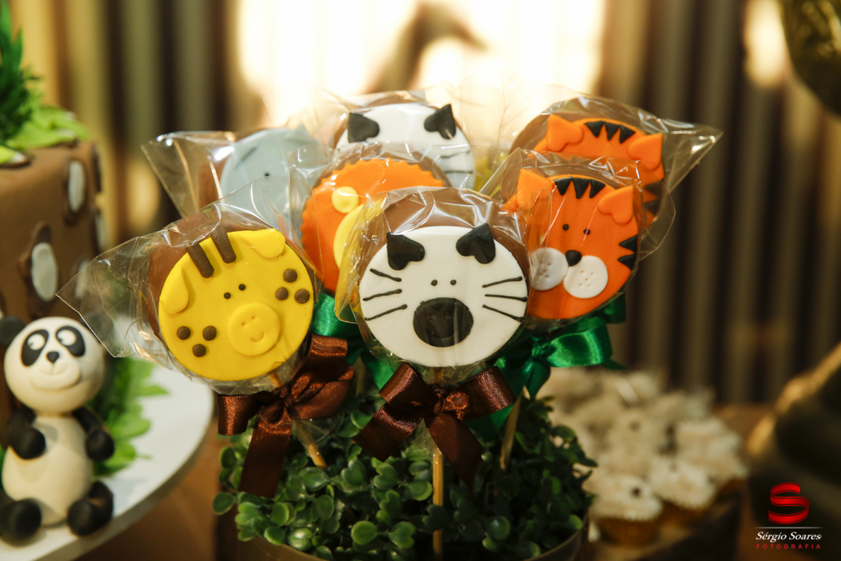 fotografia-fotografo-sergio-soares-aniversario-niver-tomas