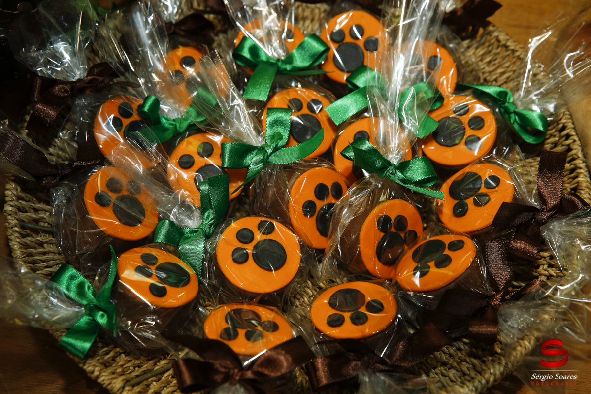 fotografia-fotografo-sergio-soares-aniversario-niver-tomas